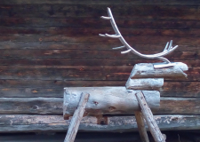 Reja severnih jelenov brez meja, Laponska – med Finsko in Norveško (3)